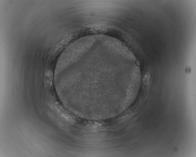 X0000111640772200908071341