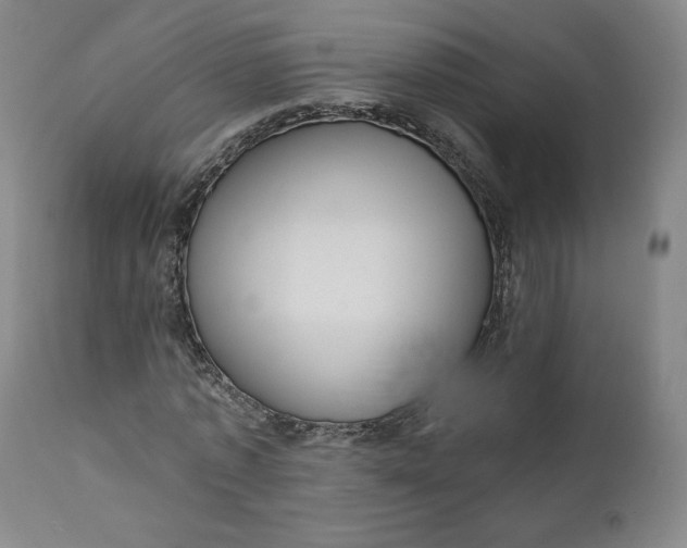 X0000111640773200908071341