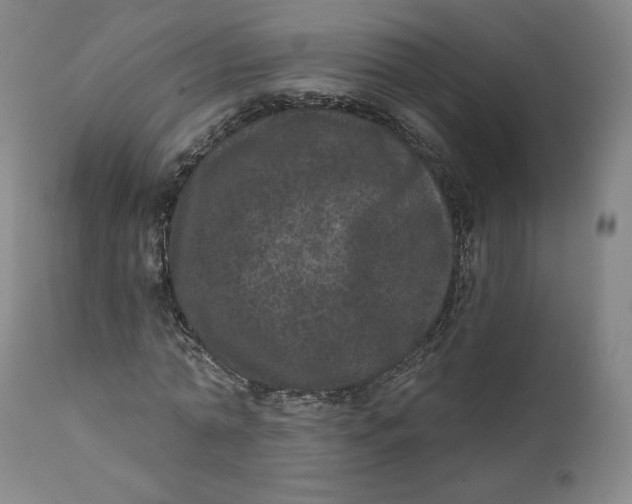 X0000111640774200908071341