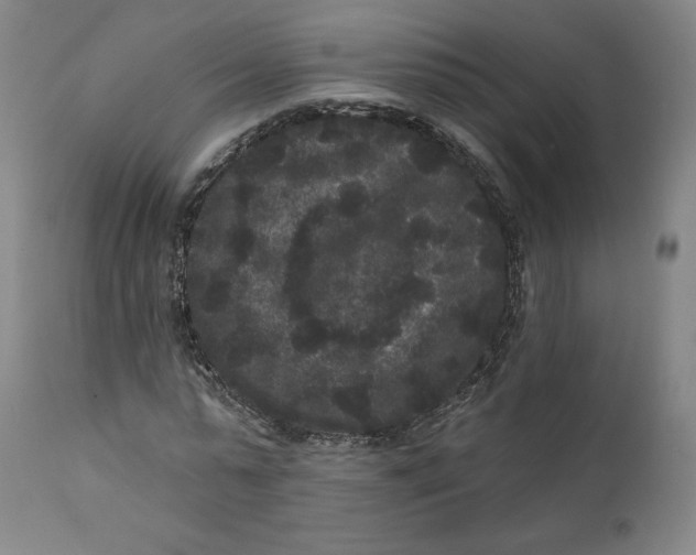 X0000111640775200908071341