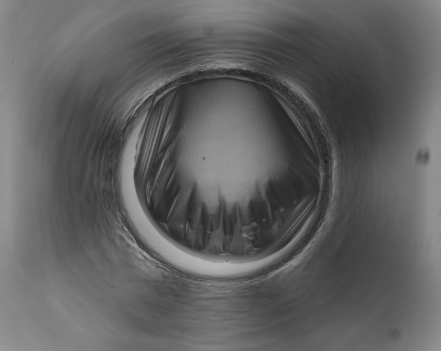 X0000111640777200908071341