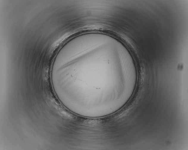 X0000111640778200908071341