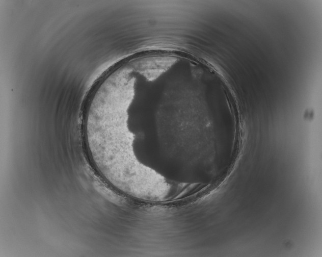 X0000111640779200908071341