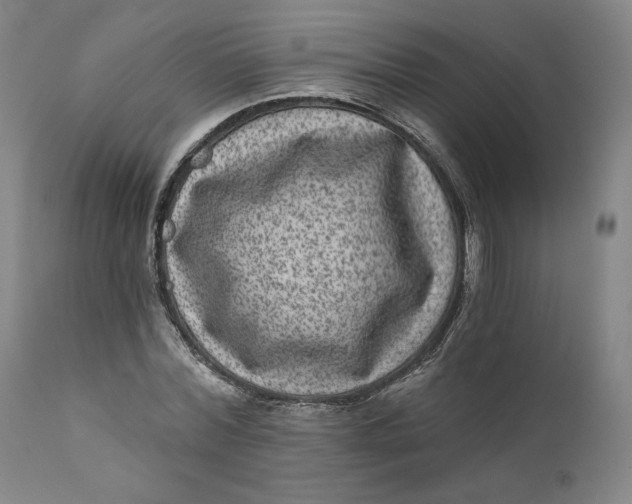 X0000111640780200908071341