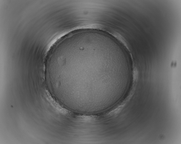 X0000111640781200908071341