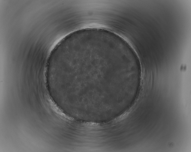 X0000111640783200908071341