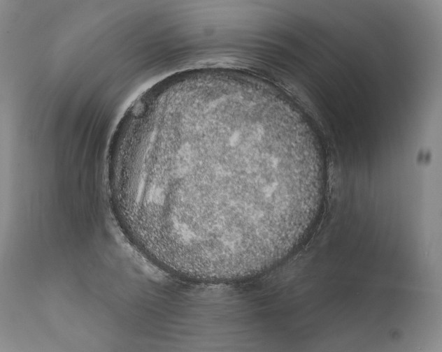 X0000111640784200908071341