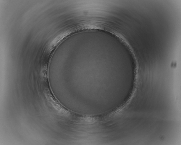 X0000111640785200908071340