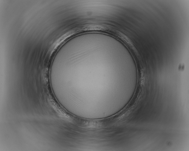 X0000111640786200908071340