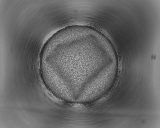 X0000111640787200908071340