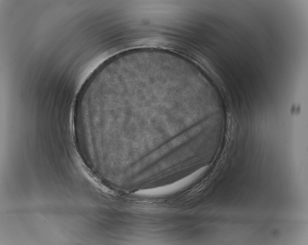 X0000111640788200908071340