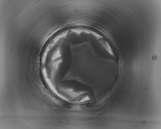 X0000111640790200908071340