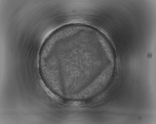 X0000111640791200908071340