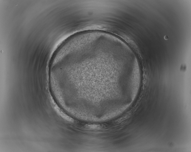 X0000111640792200908071340