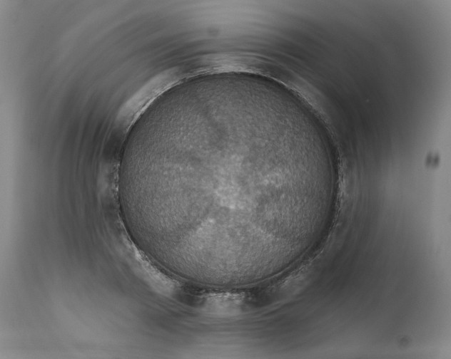 X0000111640793200908071340