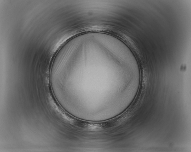 X0000111640794200908071340