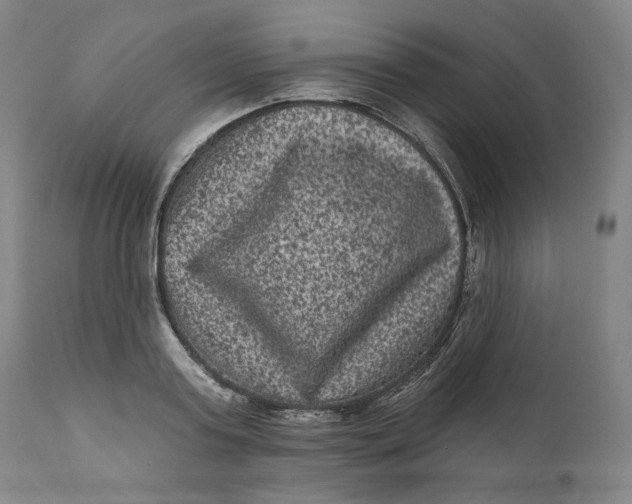 X0000111640795200908071340