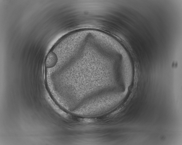 X0000111640796200908071340