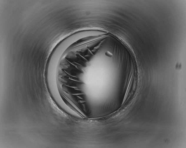 X0000111640797200908071340