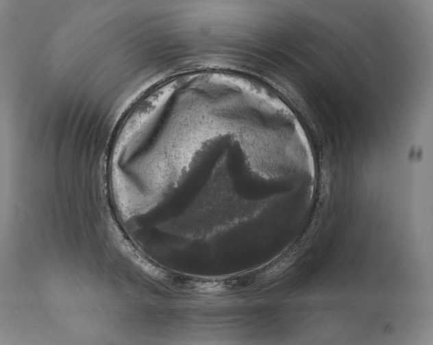 X0000111640798200908071340