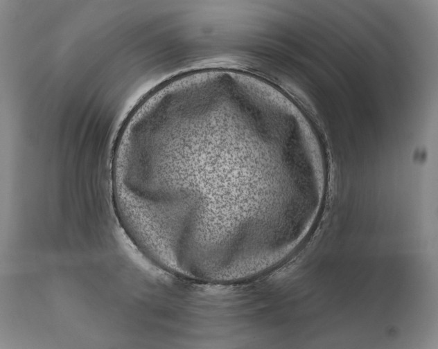 X0000111640800200908071340