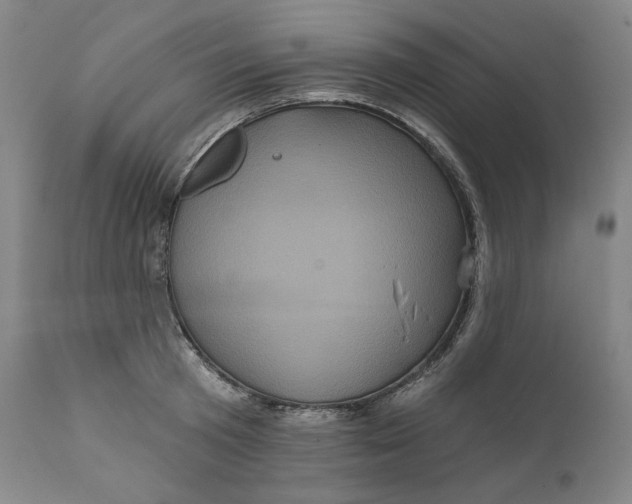 X0000111640801200908071340