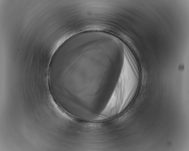 X0000111640802200908071340