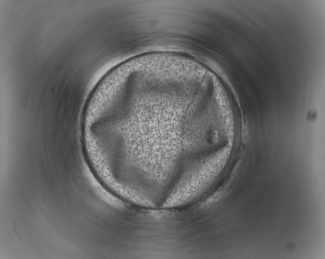 X0000111640803200908071340