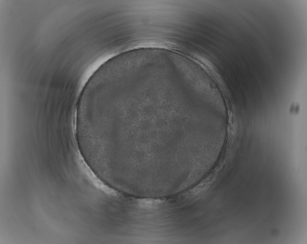 X0000111640804200908071340