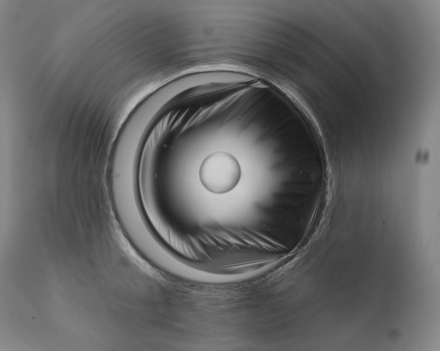 X0000111640805200908071340