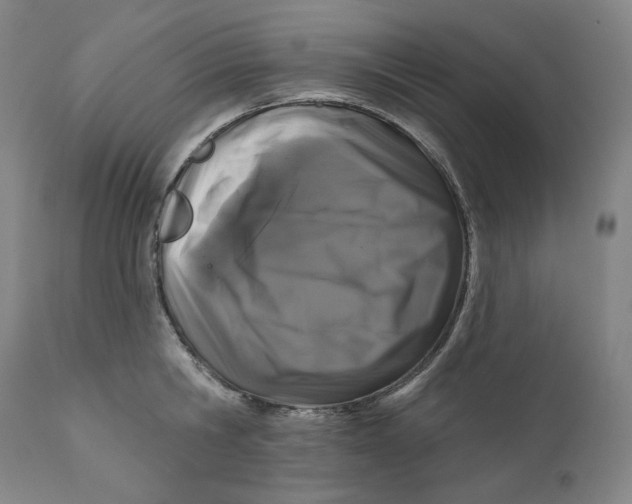 X0000111640806200908071340