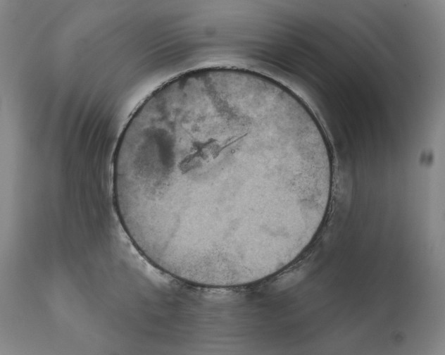 X0000111640807200908071340