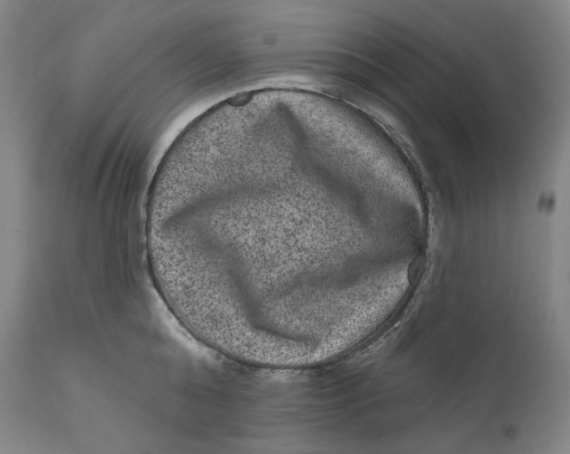 X0000111640808200908071340