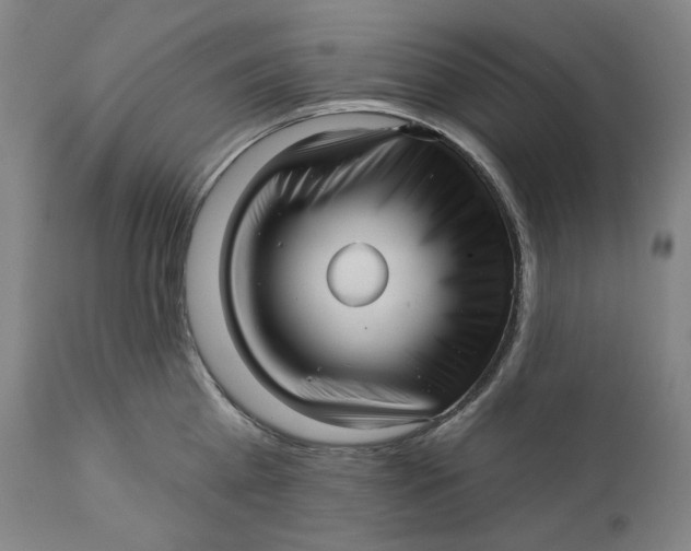 X0000111640809200908071340