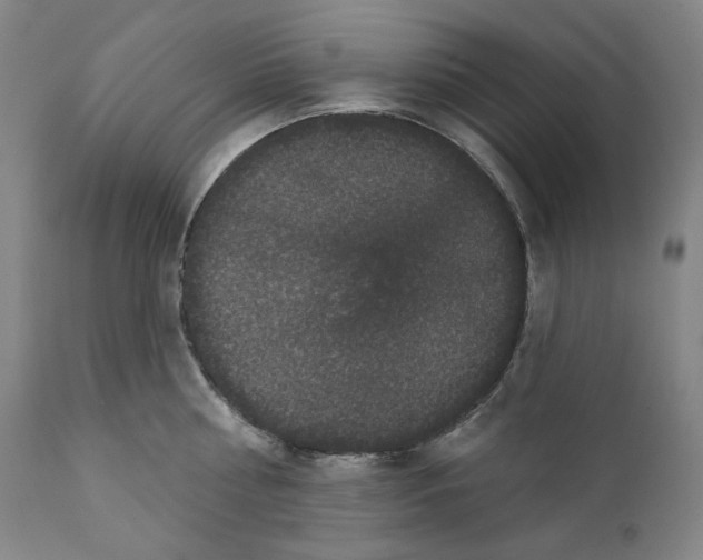 X0000111640810200908071340