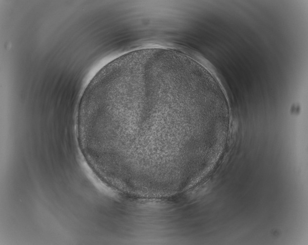 X0000111640811200908071340