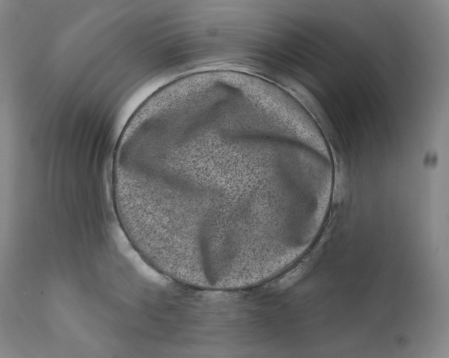 X0000111640812200908071340