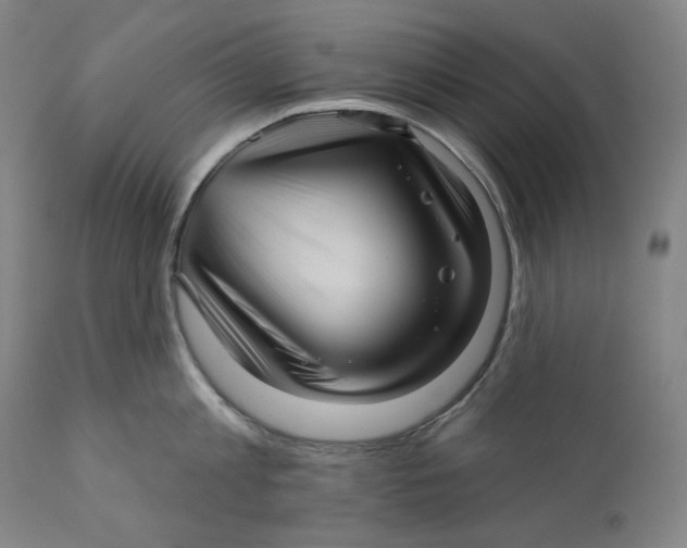 X0000111640813200908071340