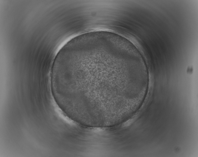 X0000111640814200908071340