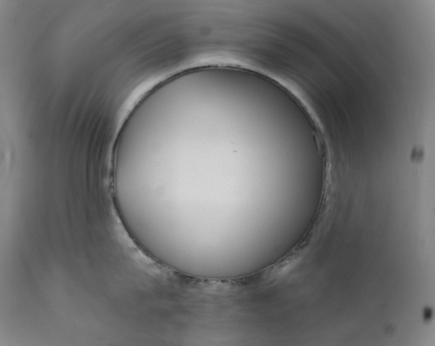 X0000111640815200908071340