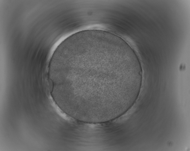 X0000111640816200908071340