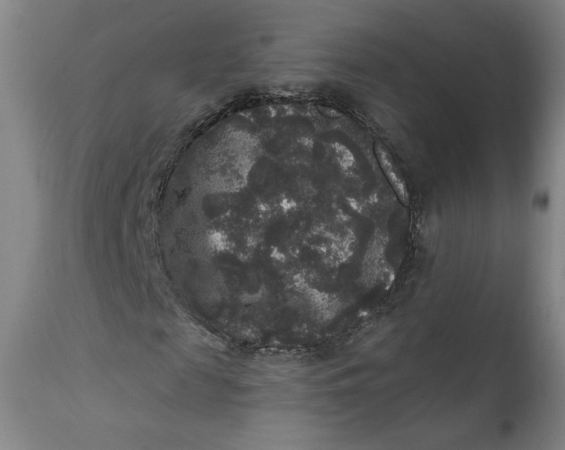 X0000111640817200908071339