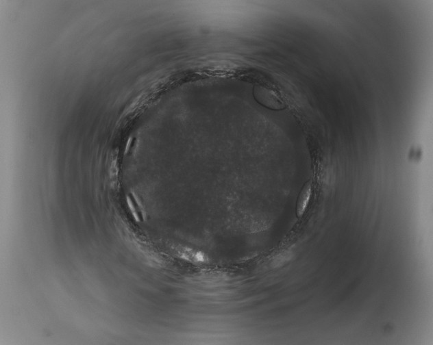 X0000111640818200908071339