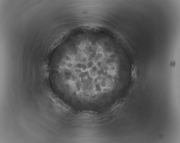 X0000111640819200908071339