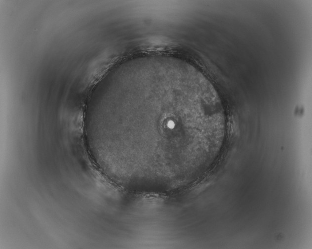 X0000111640820200908071339