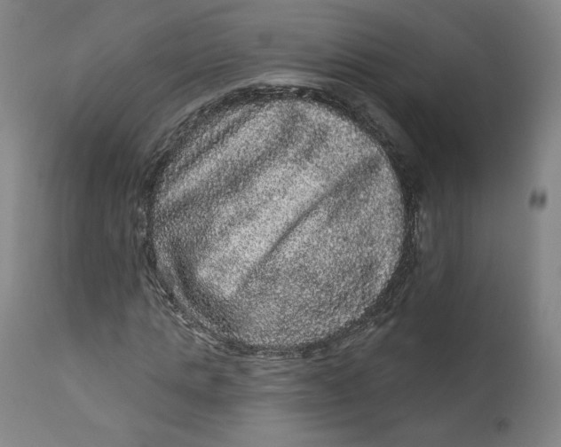 X0000111640821200908071339