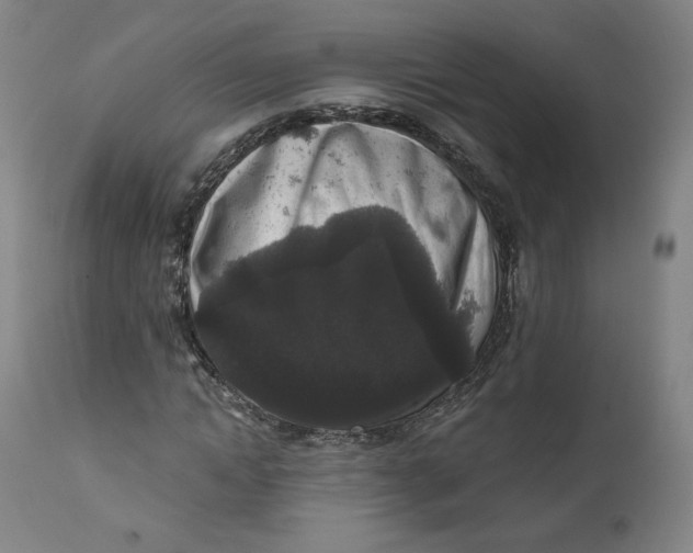 X0000111640822200908071339