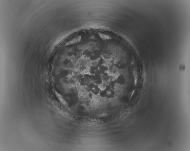 X0000111640823200908071339