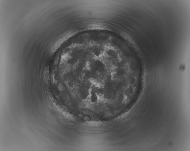 X0000111640825200908071340