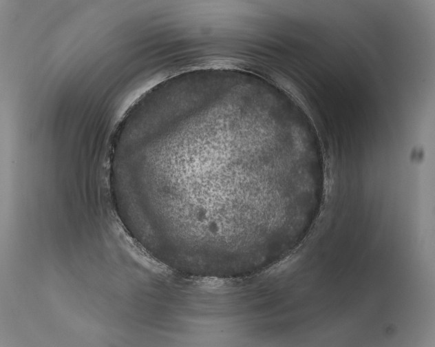 X0000111640827200908071340